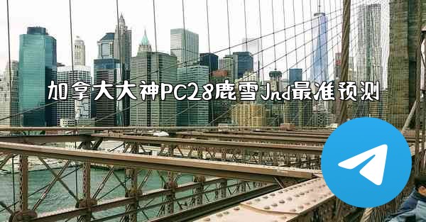 加拿大大神PC28鹿雪Jnd最准预测