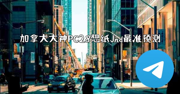 加拿大大神PC28想纸Jnd最准预测