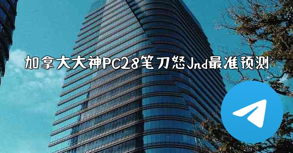 加拿大大神PC28笔刀怒Jnd最准预测