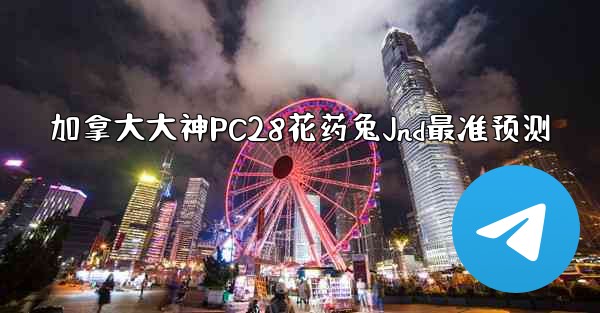 加拿大大神PC28花药兔Jnd最准预测