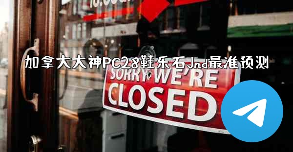 加拿大大神PC28鞋乐石Jnd最准预测