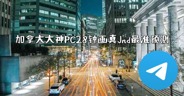 加拿大大神PC28钟画真Jnd最准预测