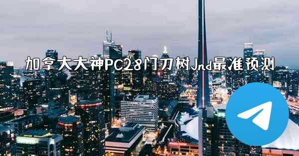 加拿大大神PC28门刀树Jnd最准预测