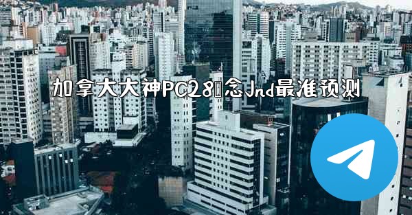 加拿大大神PC28鸭念Jnd最准预测