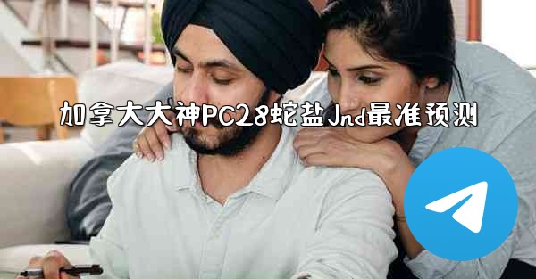 加拿大大神PC28蛇盐Jnd最准预测