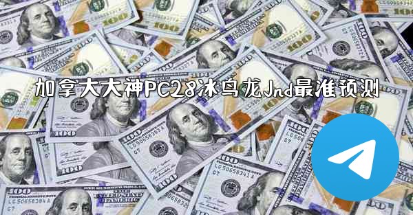 加拿大大神PC28冰鸟龙Jnd最准预测