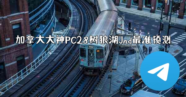 加拿大大神PC28树狼湖Jnd最准预测