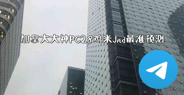加拿大大神PC28鸡米Jnd最准预测