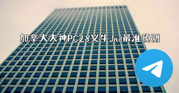 加拿大大神PC28义牛Jnd最准预测