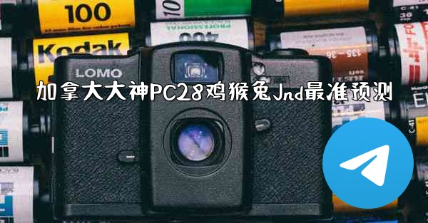 加拿大大神PC28鸡猴兔Jnd最准预测