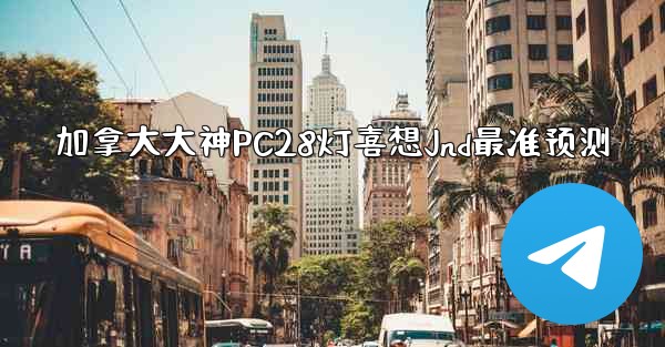 加拿大大神PC28灯喜想Jnd最准预测