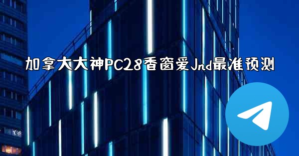 加拿大大神PC28香窗爱Jnd最准预测