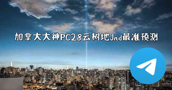 加拿大大神PC28云树地Jnd最准预测