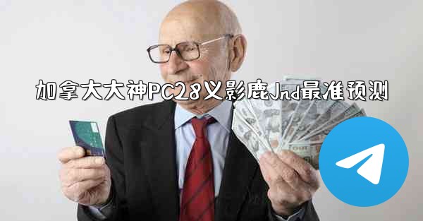 加拿大大神PC28义影鹿Jnd最准预测