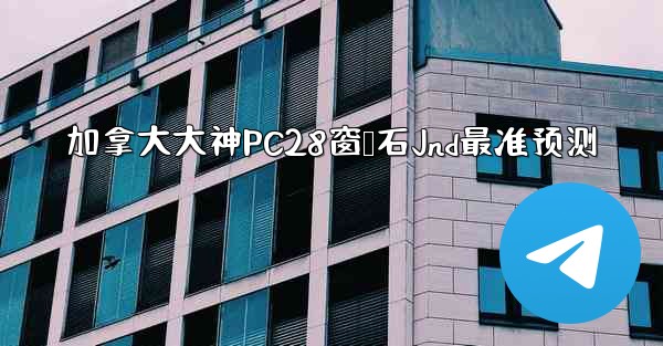 加拿大大神PC28窗鸭石Jnd最准预测