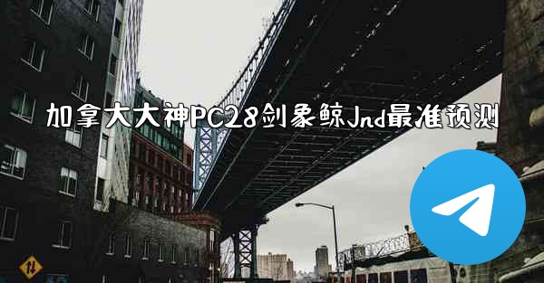 加拿大大神PC28剑象鲸Jnd最准预测