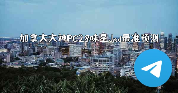 加拿大大神PC28味星Jnd最准预测