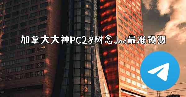 加拿大大神PC28树念Jnd最准预测