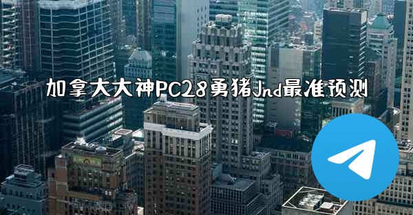 加拿大大神PC28勇猪Jnd最准预测