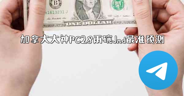 加拿大大神PC28雨碗Jnd最准预测