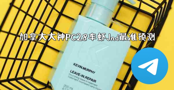 加拿大大神PC28车虾Jnd最准预测