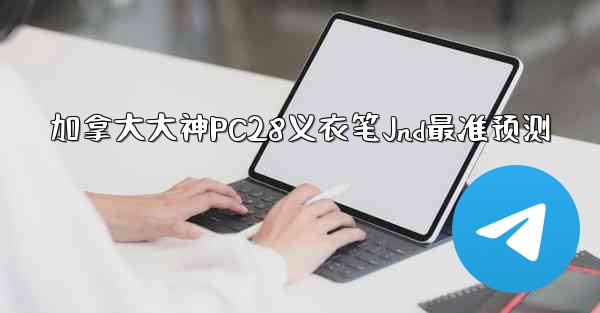 加拿大大神PC28义衣笔Jnd最准预测