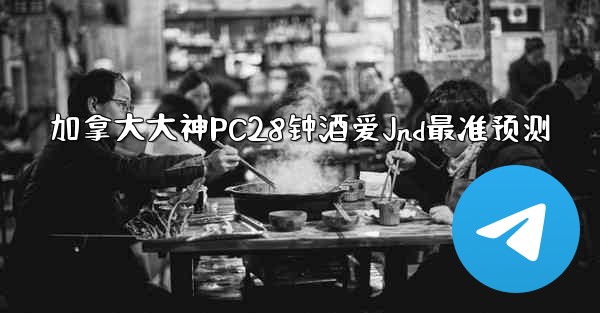 加拿大大神PC28钟酒爱Jnd最准预测