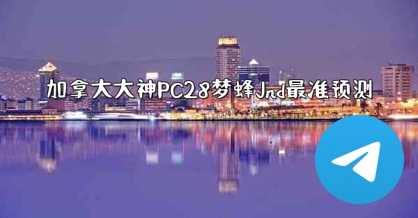 加拿大大神PC28梦蜂Jnd最准预测