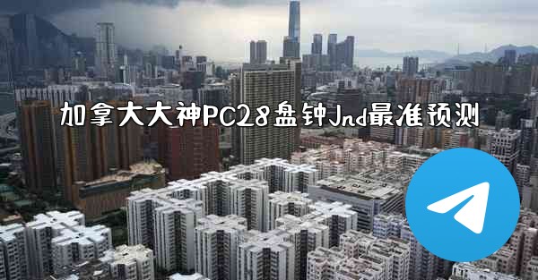 加拿大大神PC28盘钟Jnd最准预测