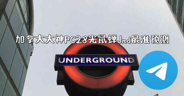 加拿大大神PC28光鼠蝉Jnd最准预测