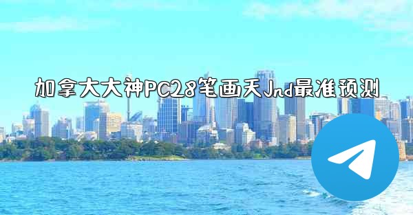 加拿大大神PC28笔画天Jnd最准预测