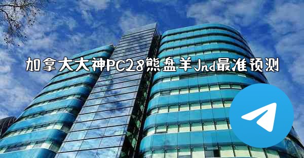 加拿大大神PC28熊盘羊Jnd最准预测