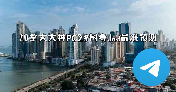 加拿大大神PC28树寿Jnd最准预测