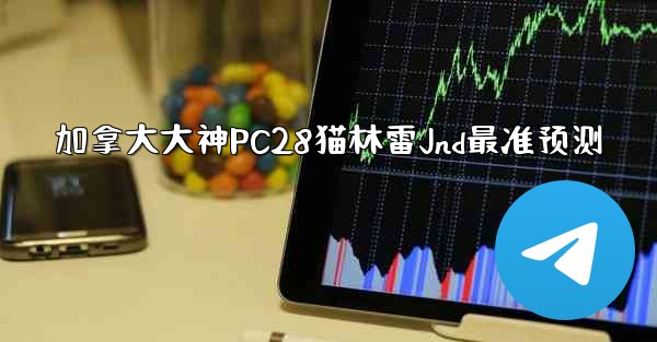 加拿大大神PC28猫林雷Jnd最准预测