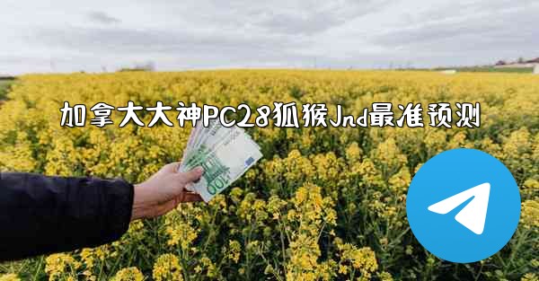 加拿大大神PC28狐猴Jnd最准预测
