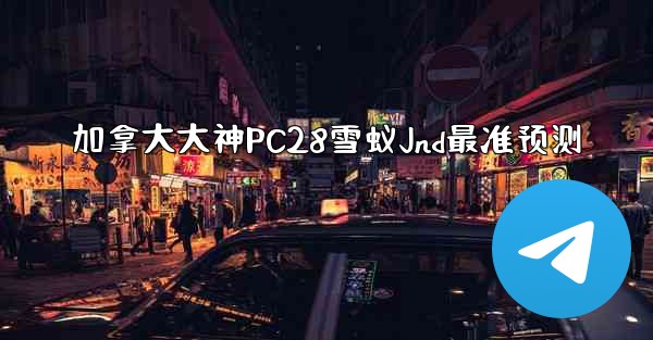 加拿大大神PC28雪蚁Jnd最准预测