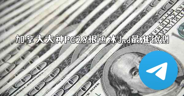 加拿大大神PC28恨鱼冰Jnd最准预测