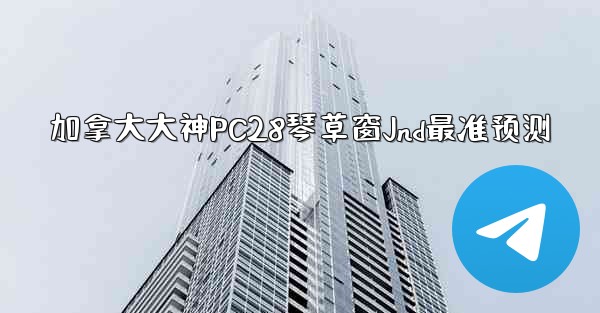 加拿大大神PC28琴草窗Jnd最准预测