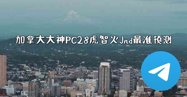 加拿大大神PC28虎智火Jnd最准预测