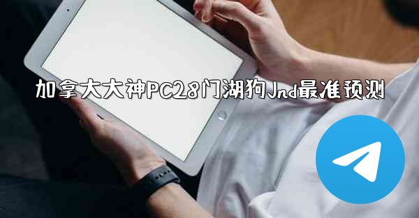 加拿大大神PC28门湖狗Jnd最准预测