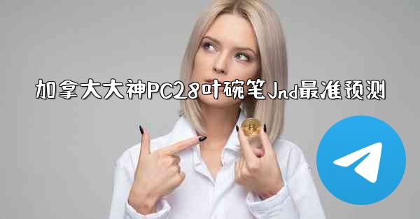 加拿大大神PC28叶碗笔Jnd最准预测