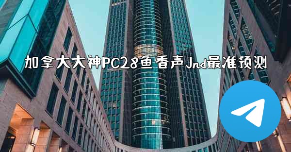 加拿大大神PC28鱼香声Jnd最准预测