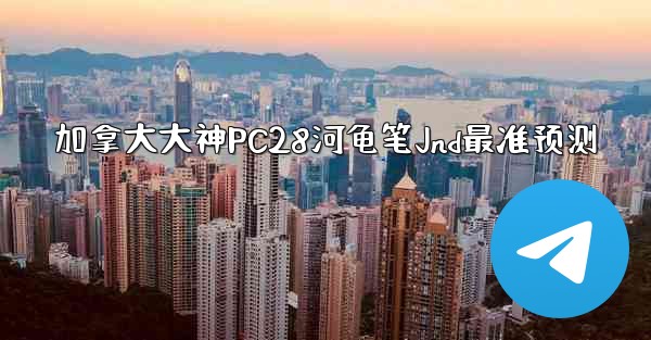 加拿大大神PC28河龟笔Jnd最准预测