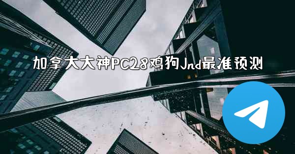 加拿大大神PC28鸡狗Jnd最准预测