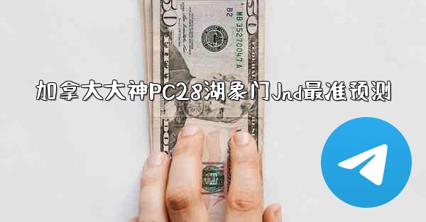 加拿大大神PC28湖象门Jnd最准预测