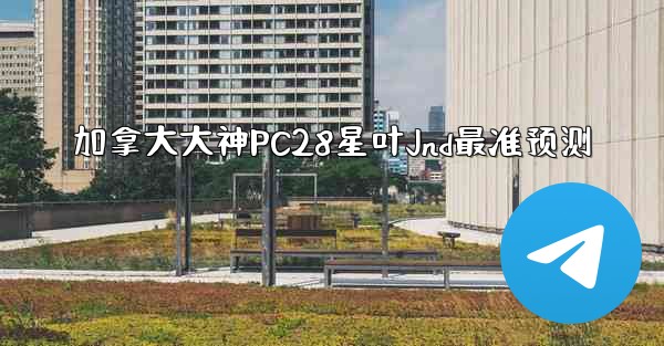 加拿大大神PC28星叶Jnd最准预测