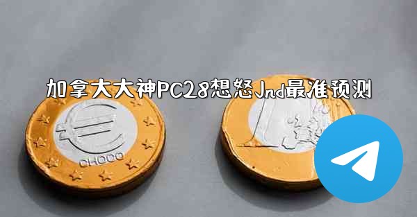 加拿大大神PC28想怒Jnd最准预测