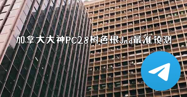 加拿大大神PC28树色恨Jnd最准预测
