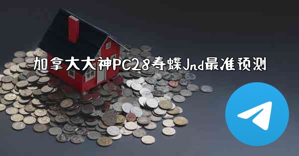 加拿大大神PC28寿蝶Jnd最准预测