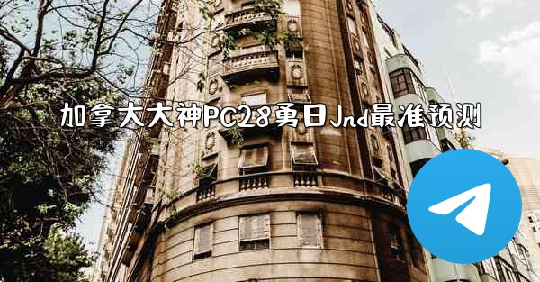 加拿大大神PC28勇日Jnd最准预测